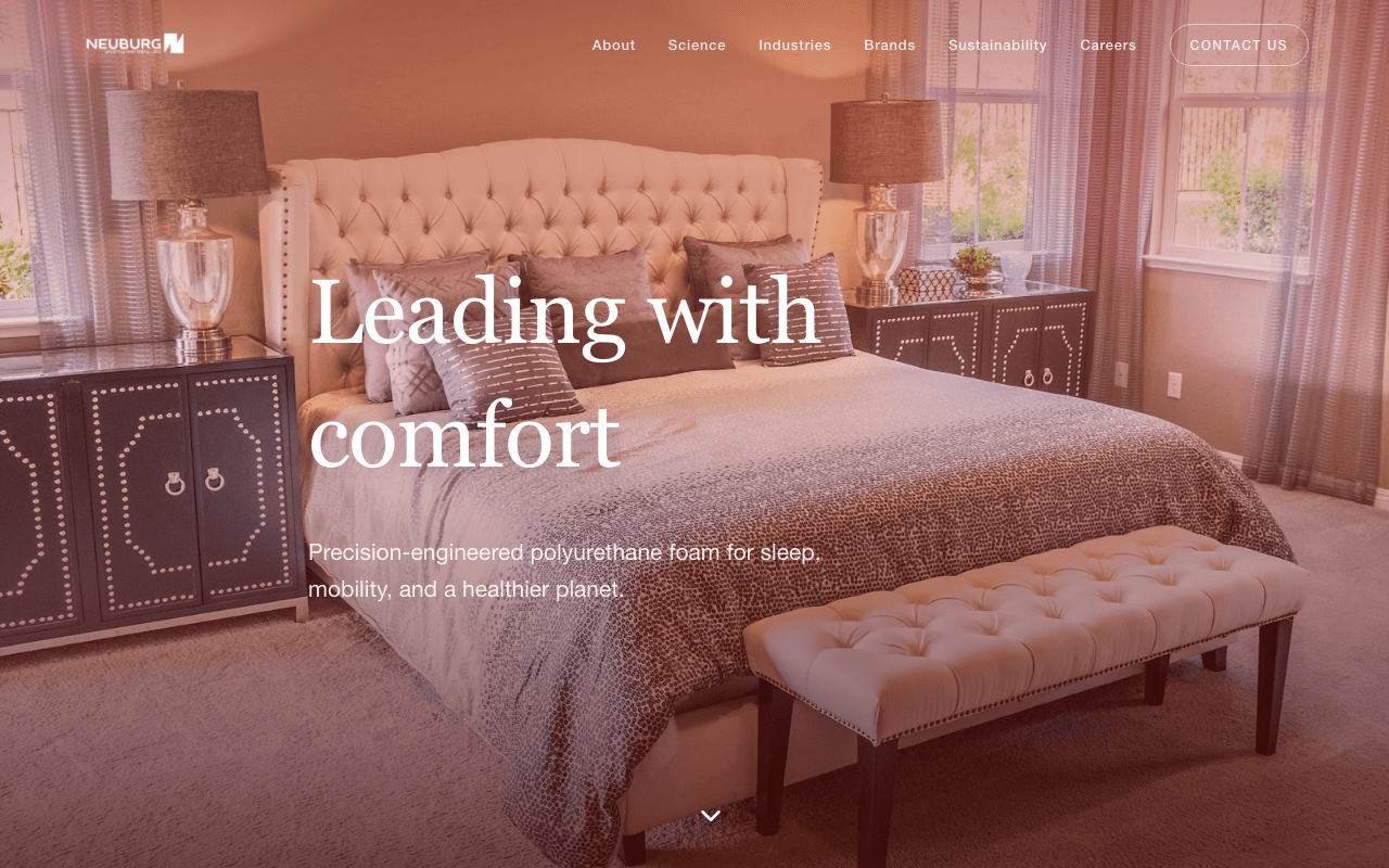 Neuburg Foam — screenshot